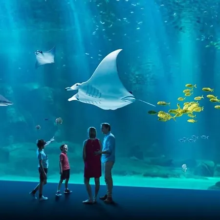 Vakantiehuis La Pointe D'opale Maison 6 Personnes A